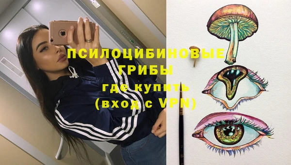 синтетический гашиш Алексеевка