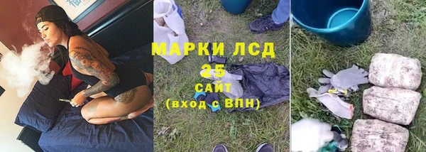 ГАЛЛЮЦИНОГЕННЫЕ ГРИБЫ Алексин