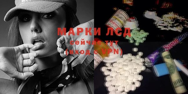 ГАЛЛЮЦИНОГЕННЫЕ ГРИБЫ Алексин