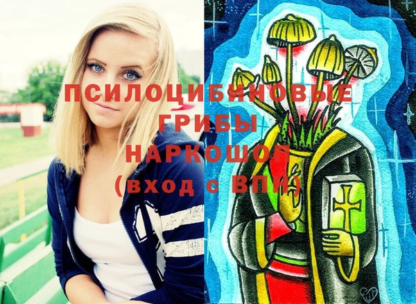 синтетический гашиш Алексеевка